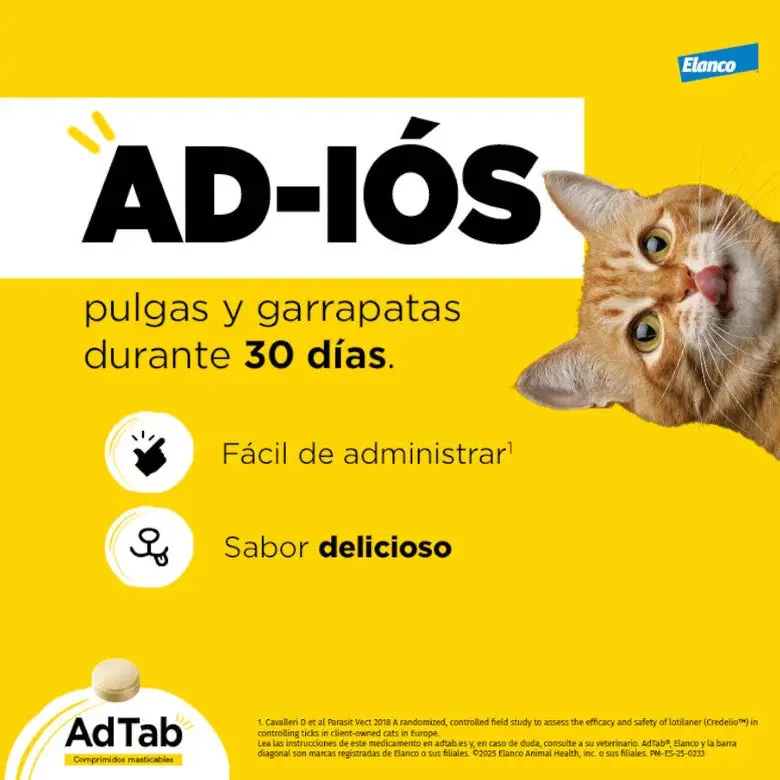 Imagen del producto 7