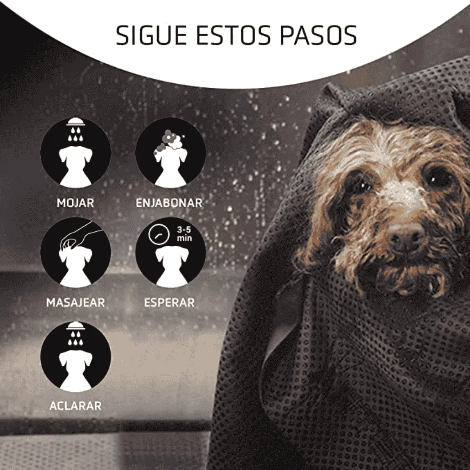 Imagen del producto 2