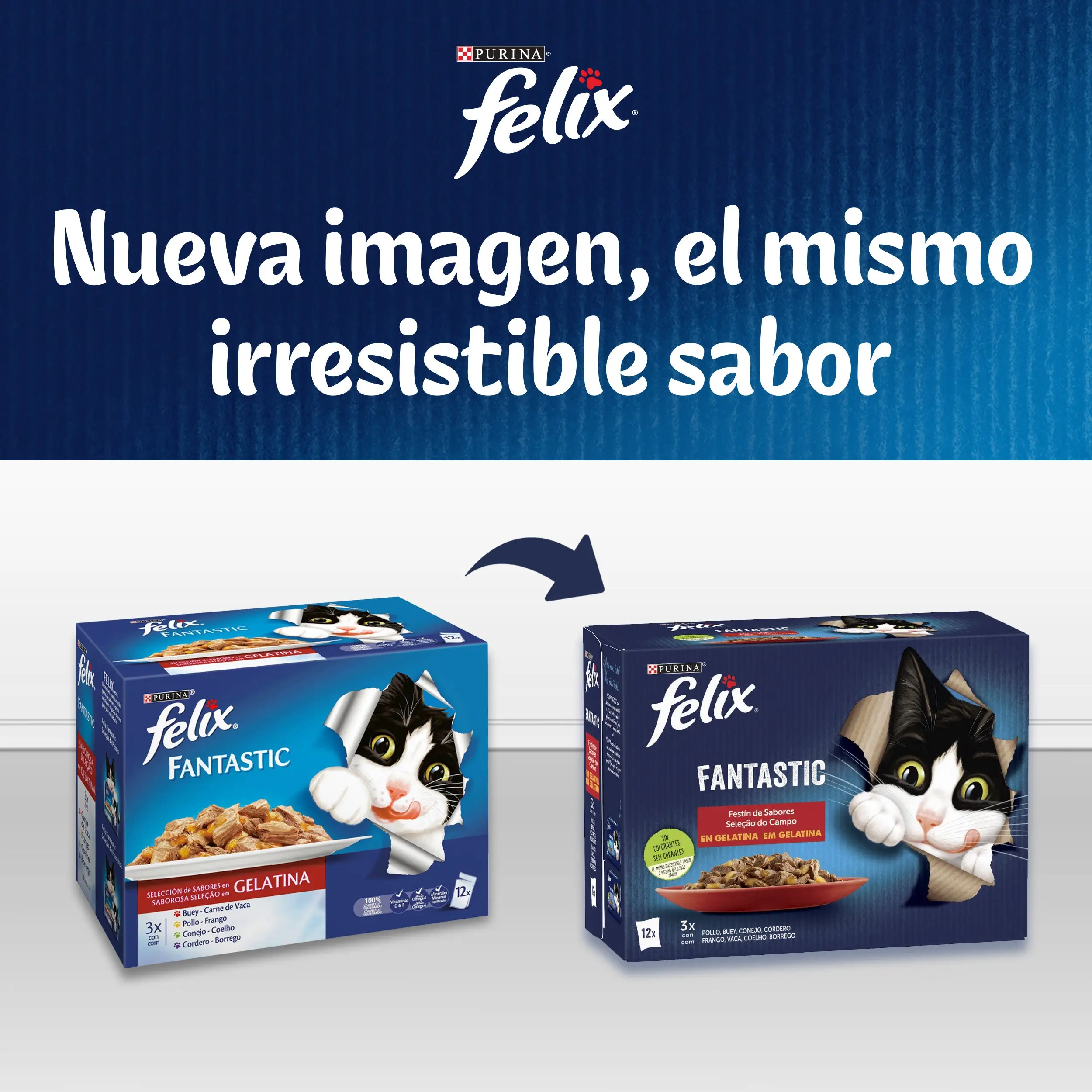 Imagen del producto 6