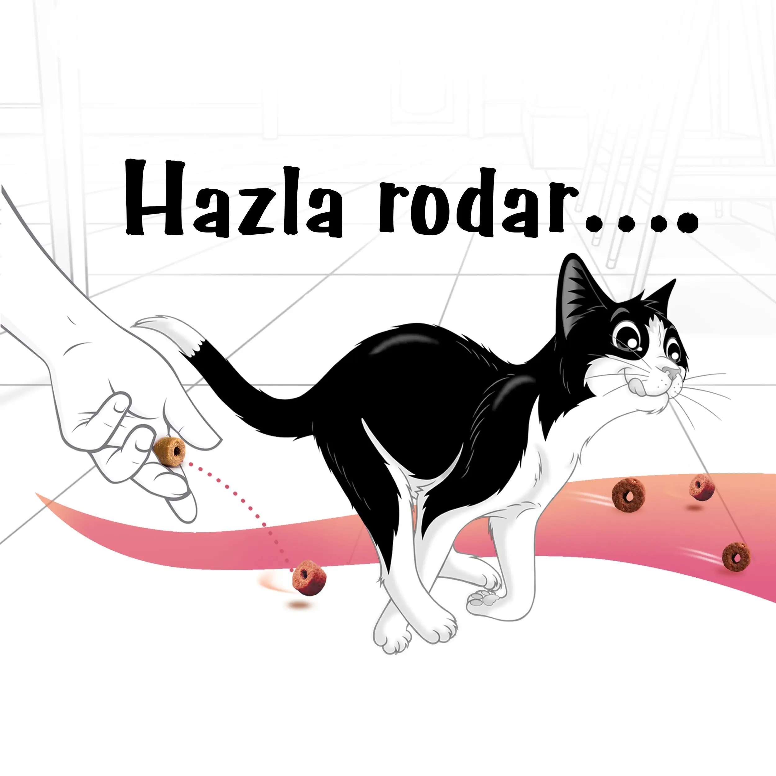 Imagen del producto 6