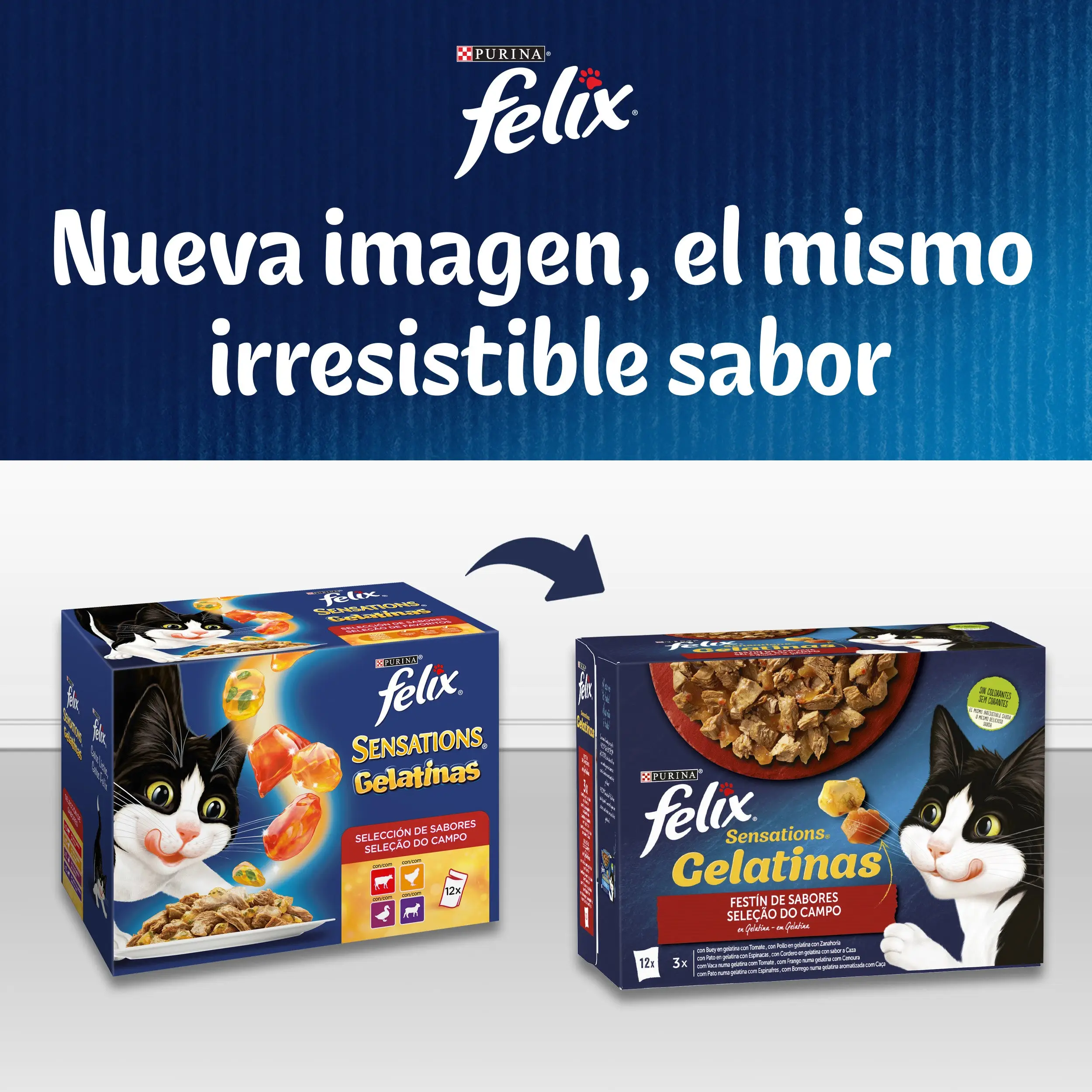 Imagen del producto 7
