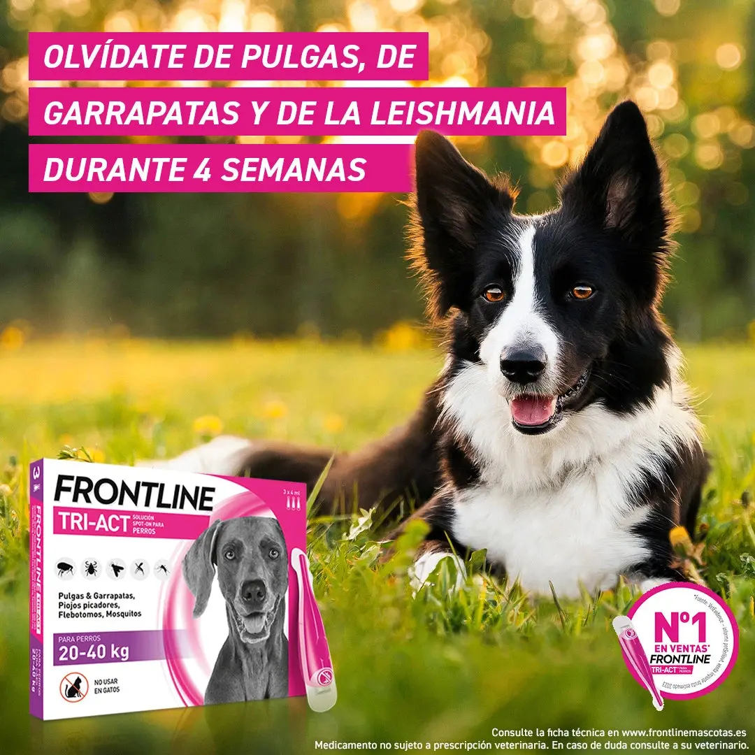 Imagen del producto 3