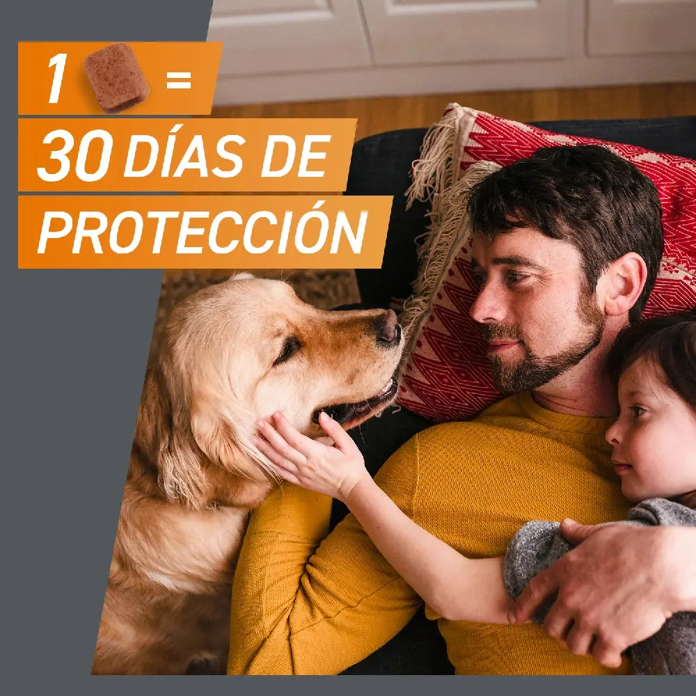 Imagen del producto 13