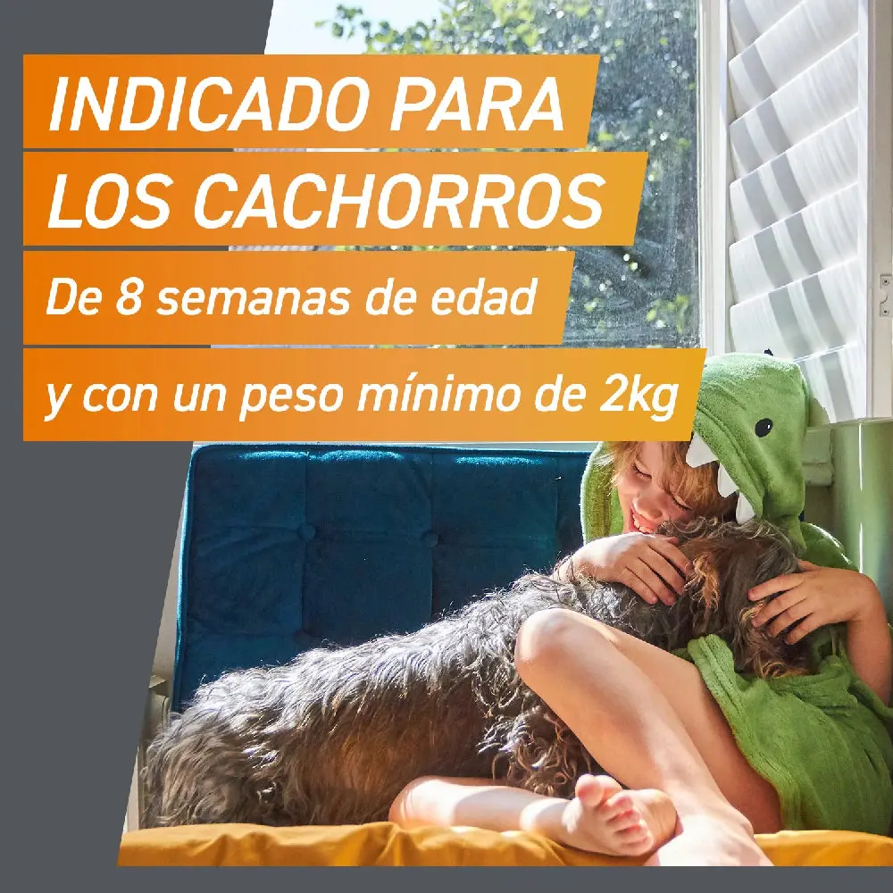 Imagen del producto 9