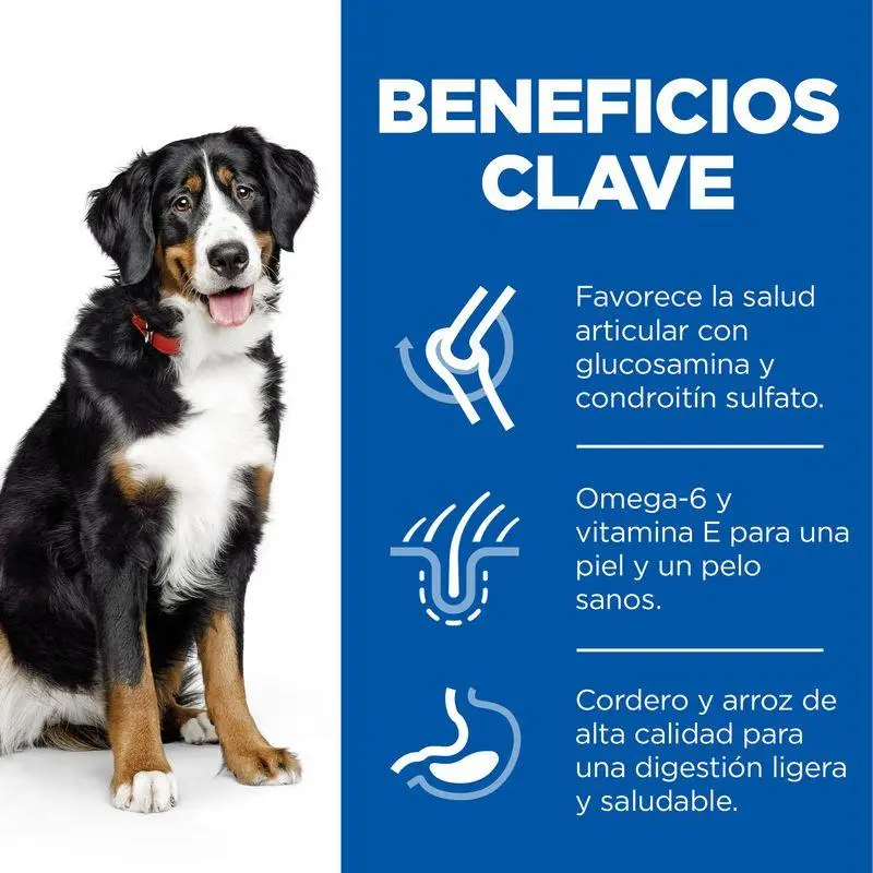 Imagen del producto 3