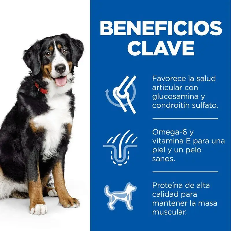 Imagen del producto 3
