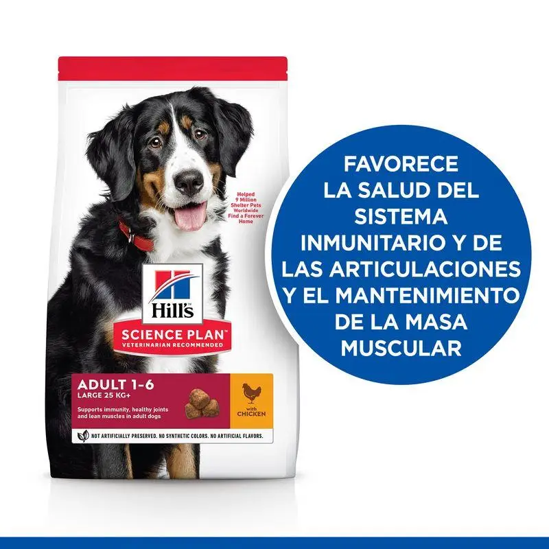 Imagen del producto 4