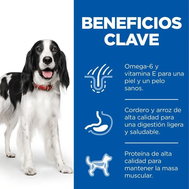 Imagen del producto 3