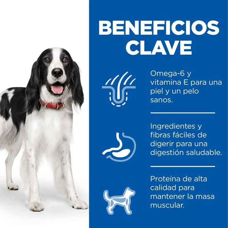 Imagen del producto 3