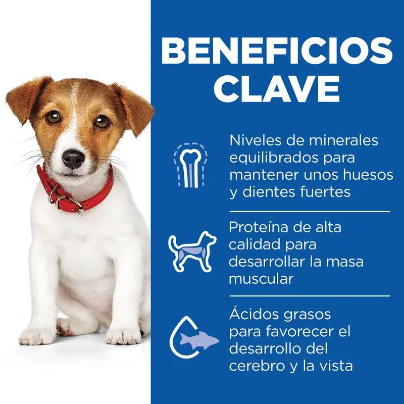 Imagen del producto 3