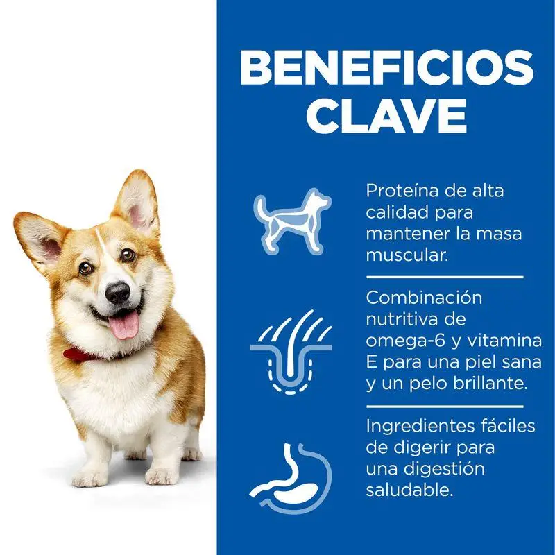 Imagen del producto 4