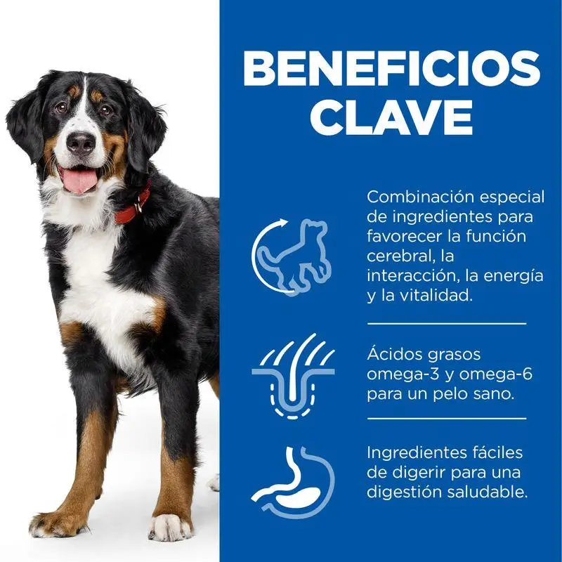 Imagen del producto 3
