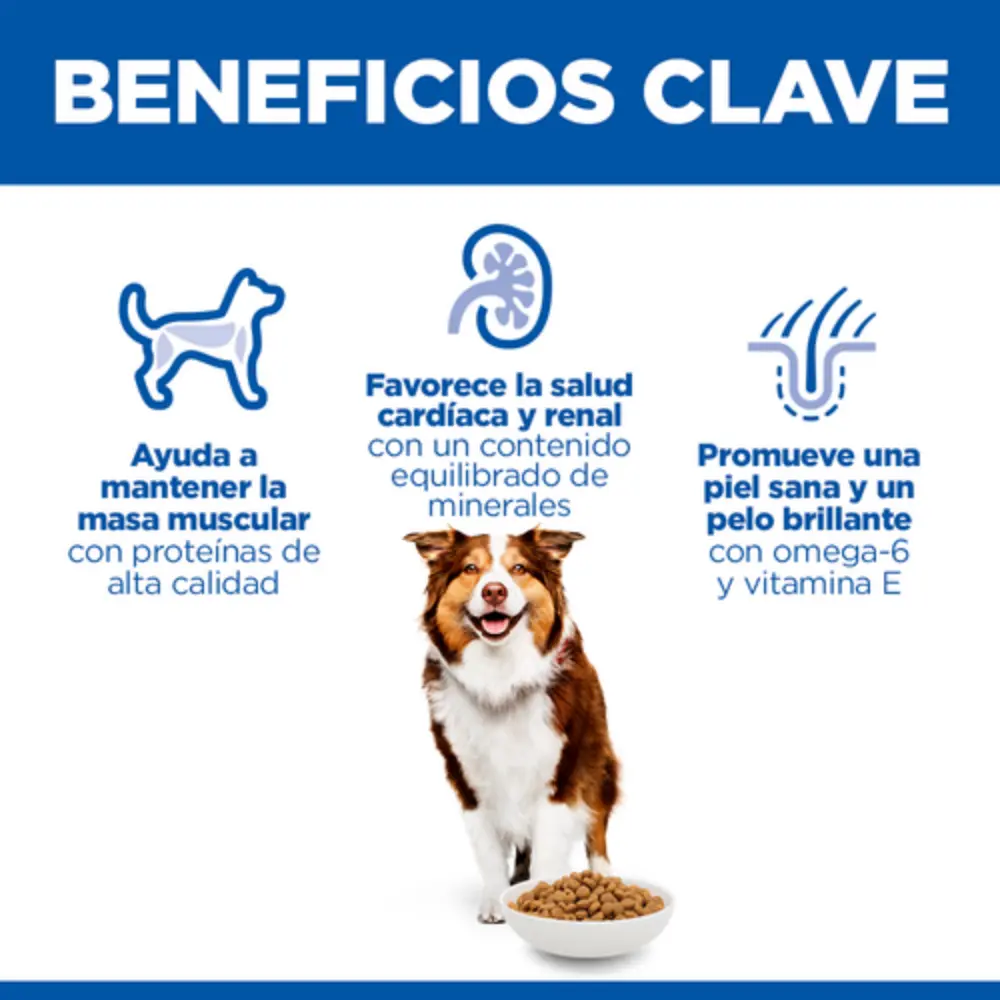 Imagen del producto 2