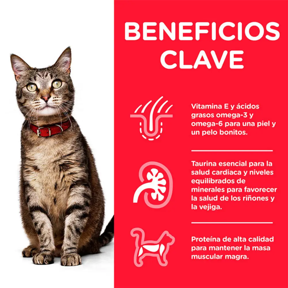 Imagen del producto 2