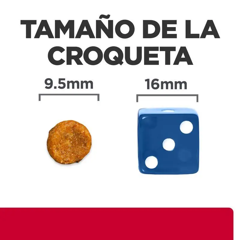 Imagen del producto 2