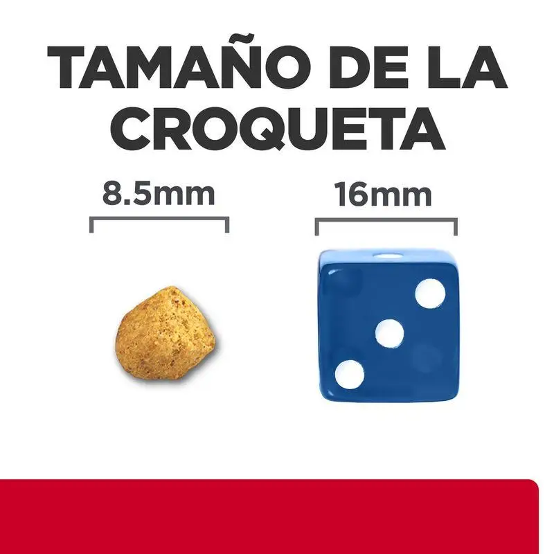 Imagen del producto 2