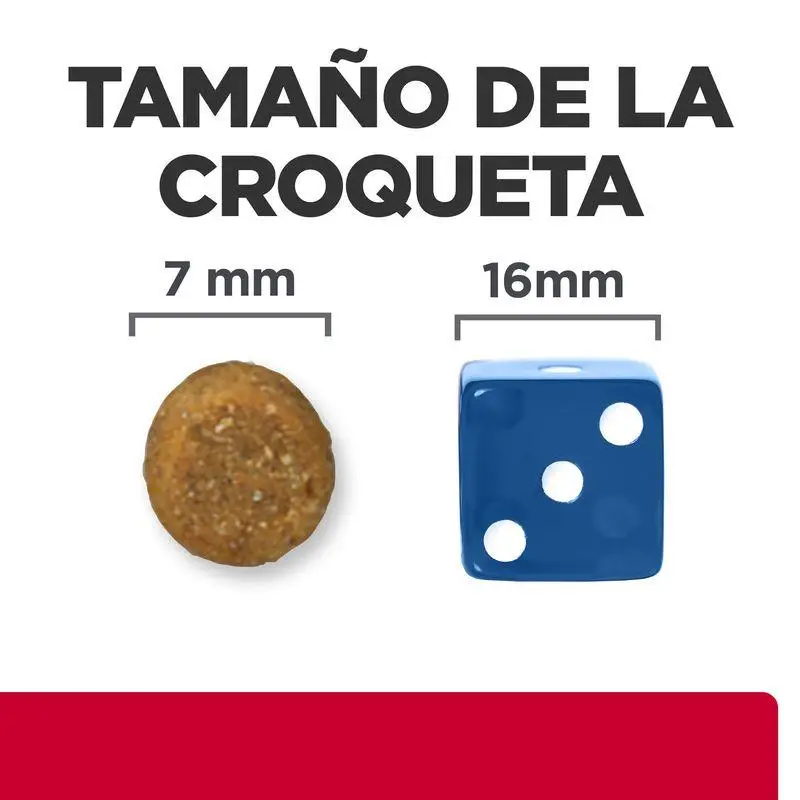 Imagen del producto 2