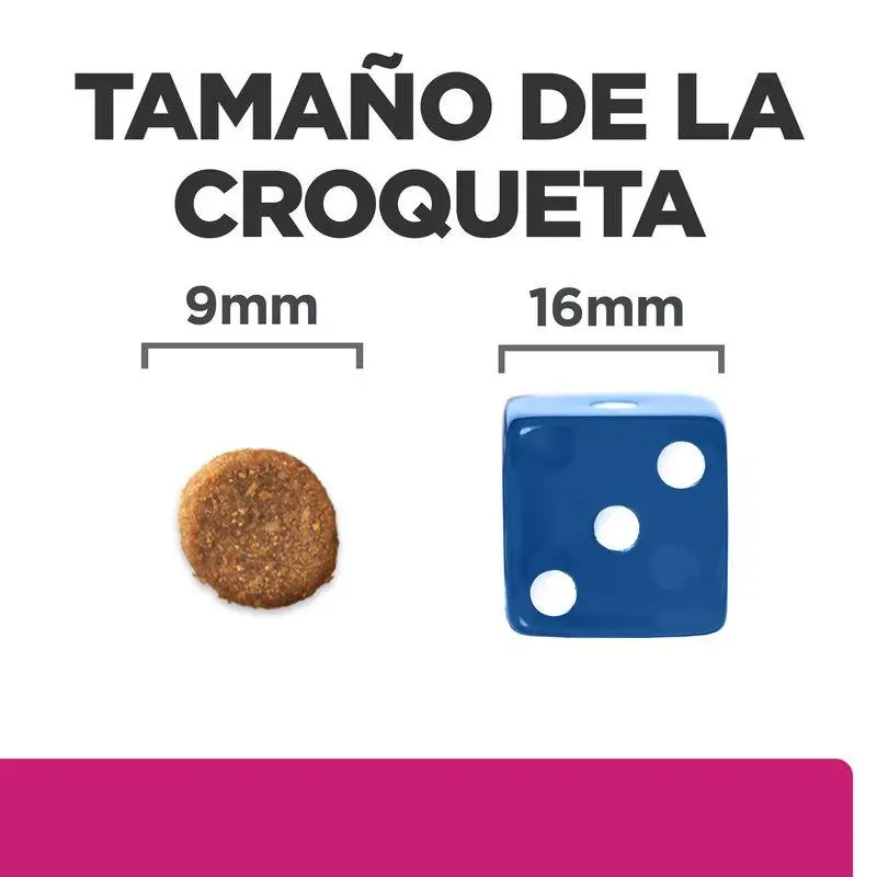 Imagen del producto 2