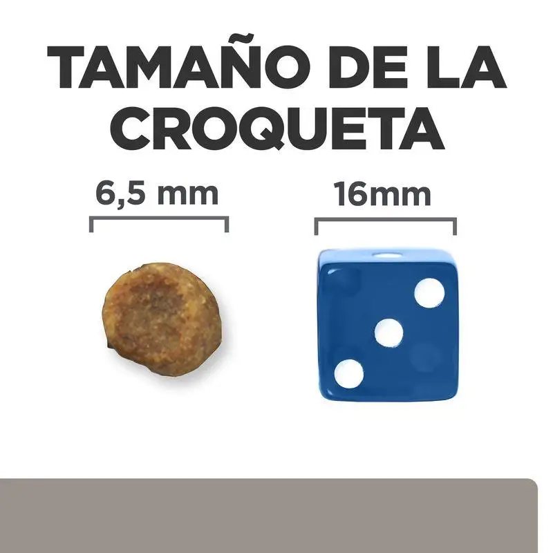 Imagen del producto 2