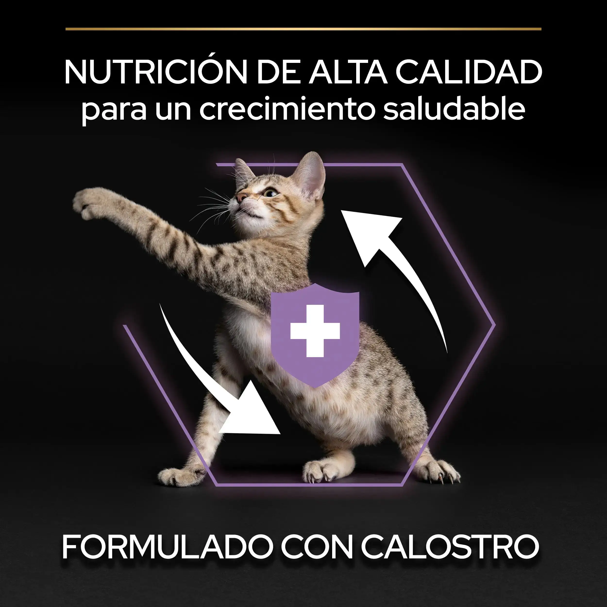 Imagen del producto 8