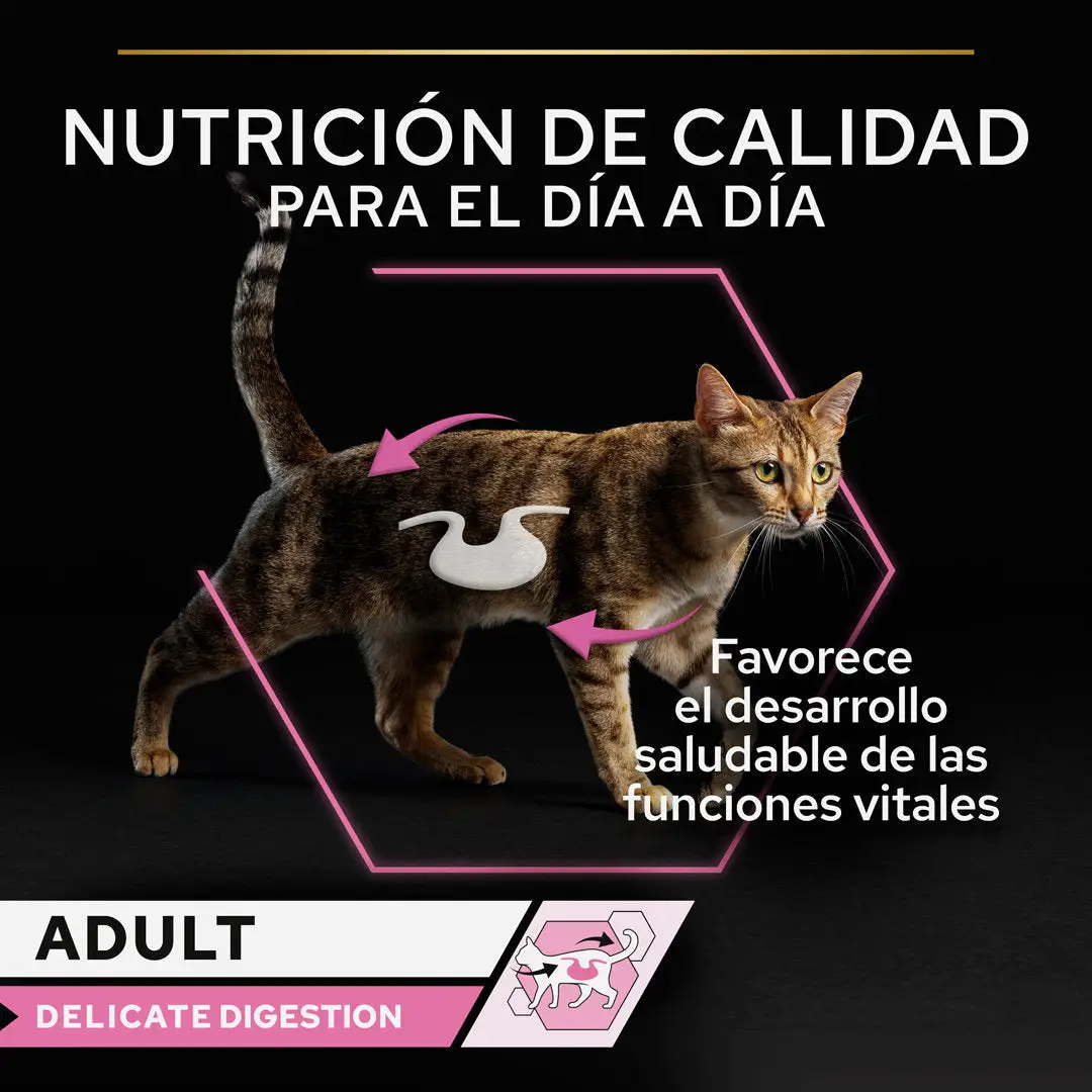 Imagen del producto 8
