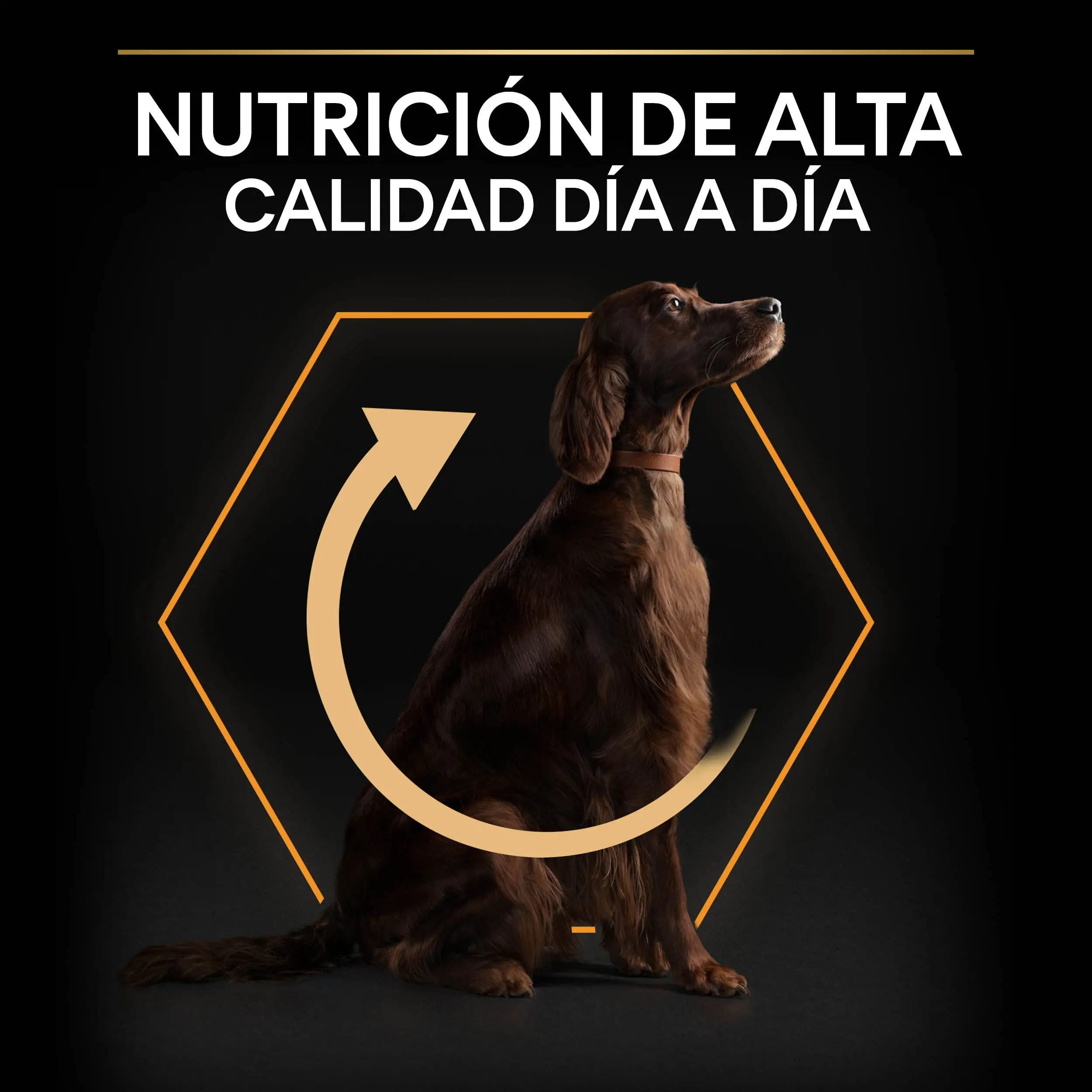 Imagen del producto 8