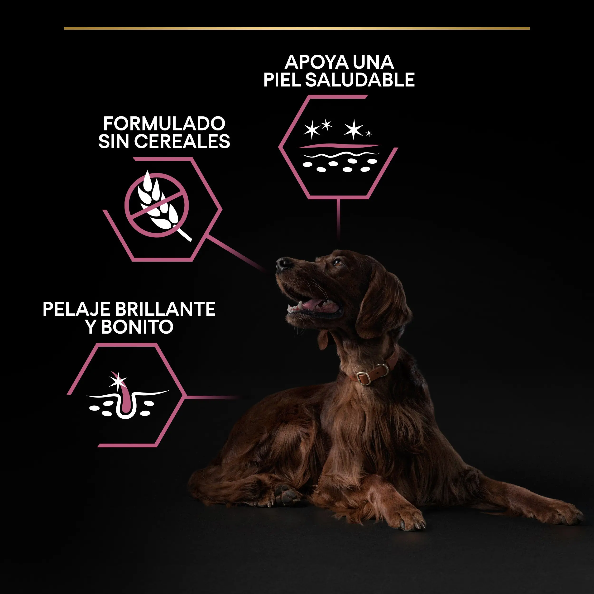 Imagen del producto 9