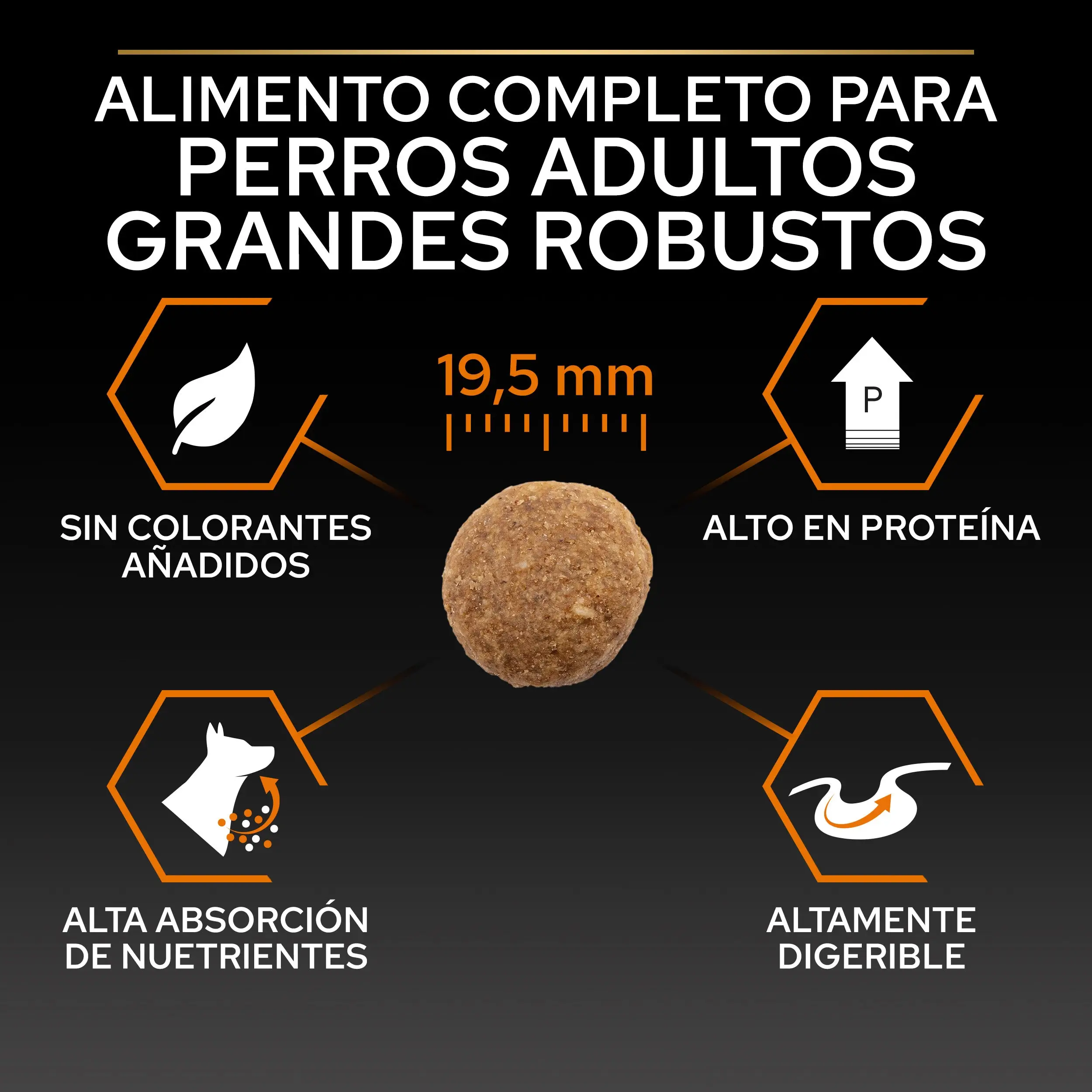 Imagen del producto 7