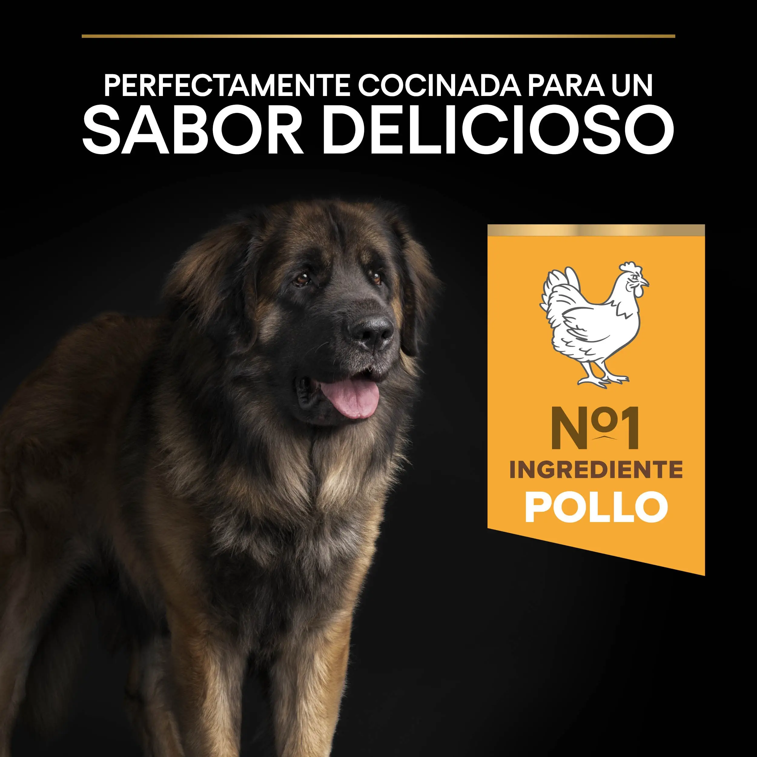 Imagen del producto 8
