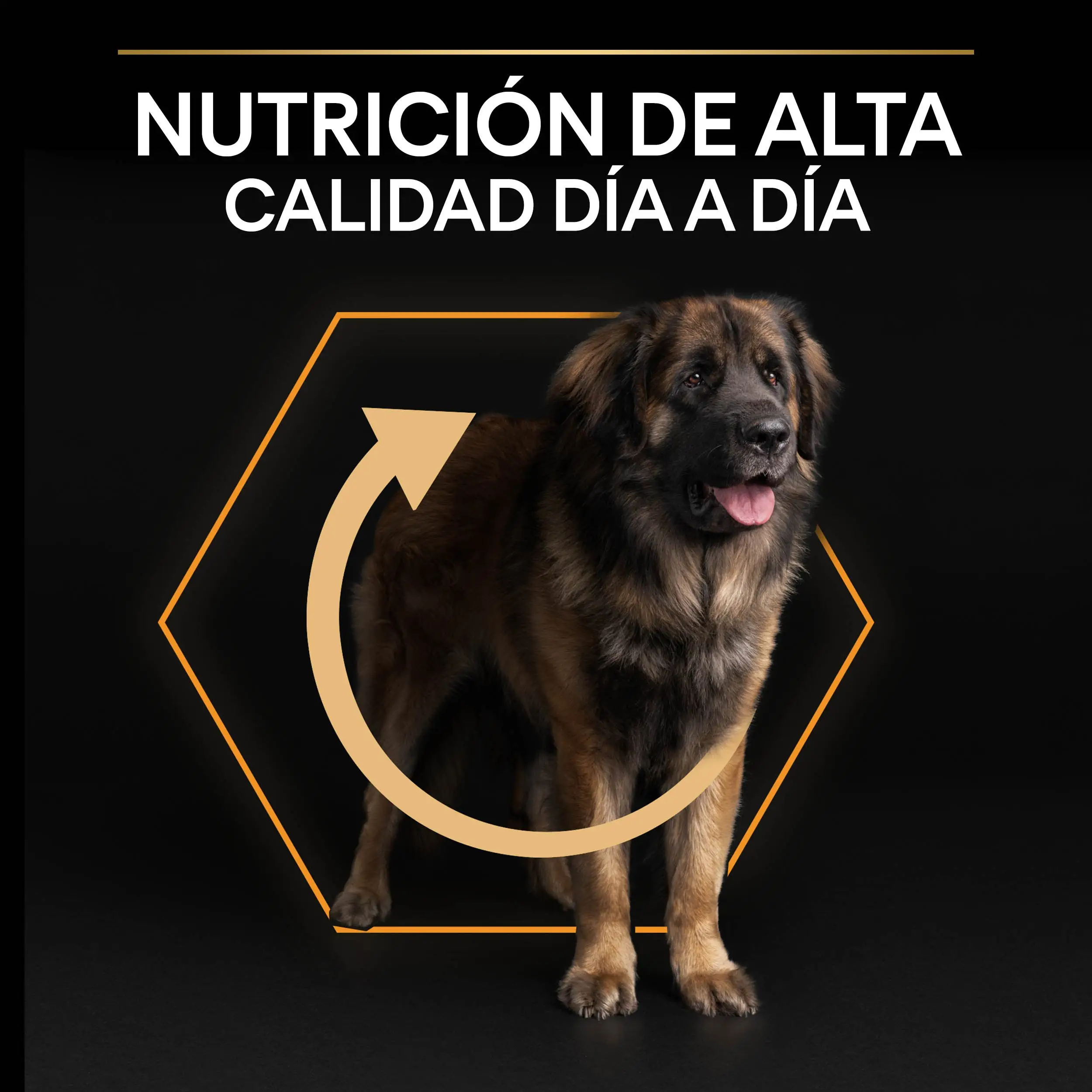 Imagen del producto 9