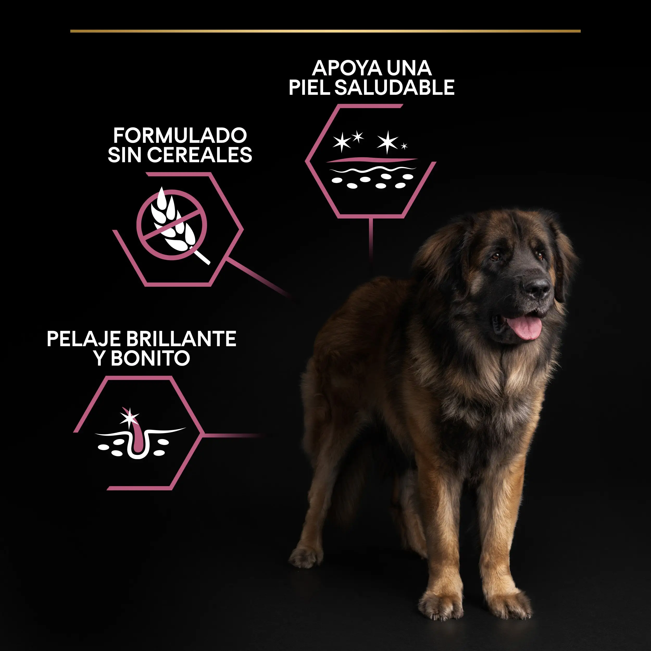 Imagen del producto 10