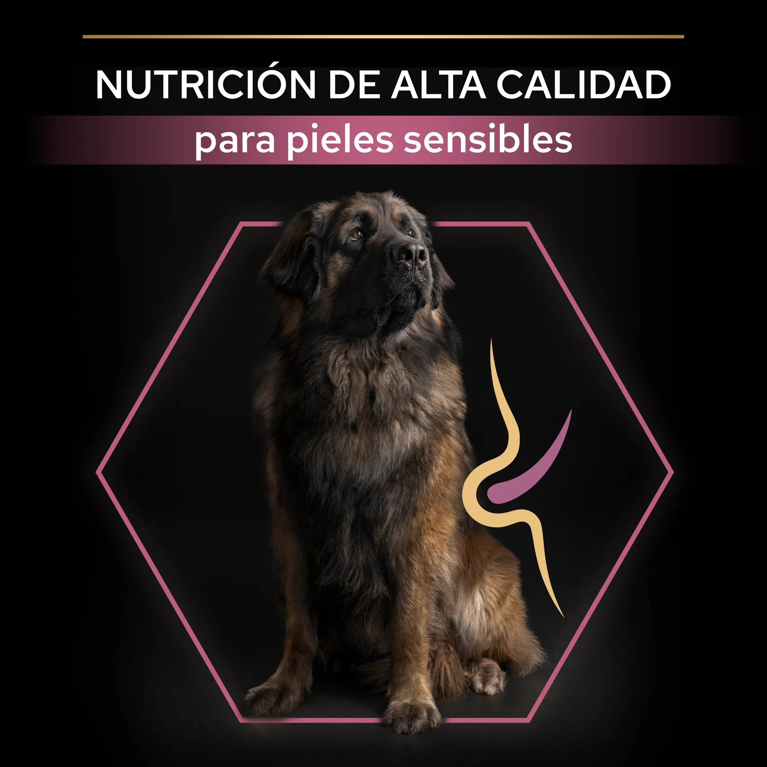 Imagen del producto 8
