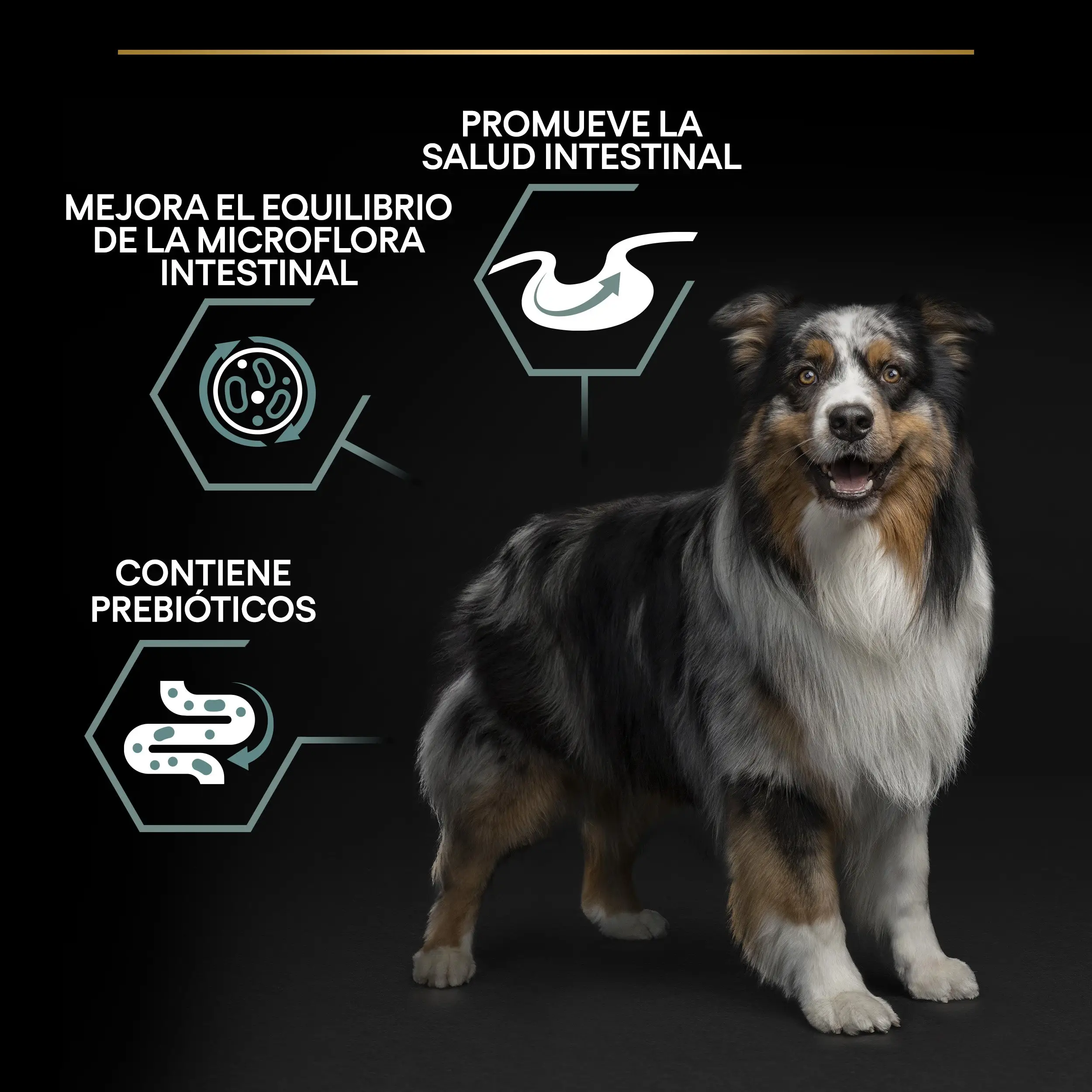 Imagen del producto 8
