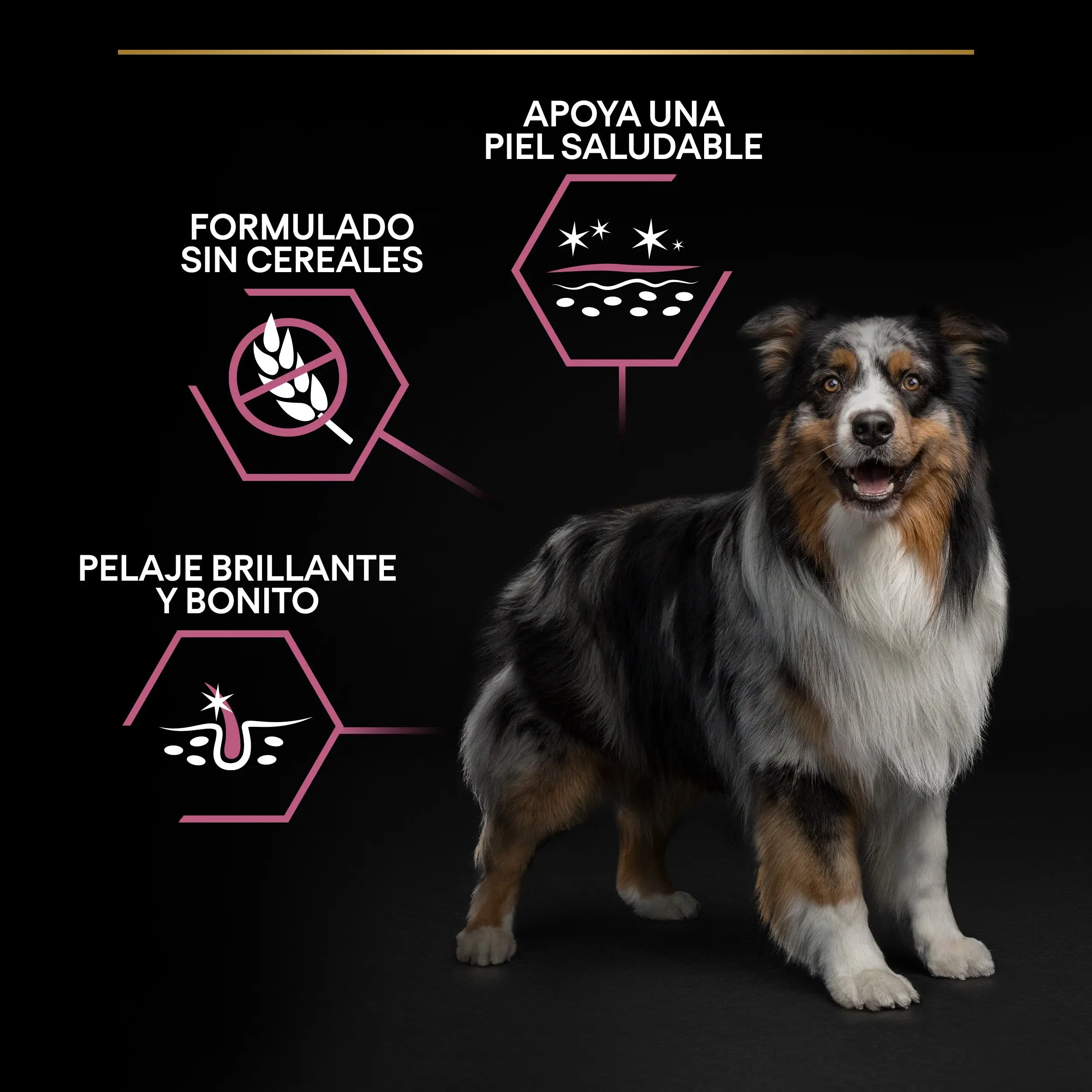 Imagen del producto 10