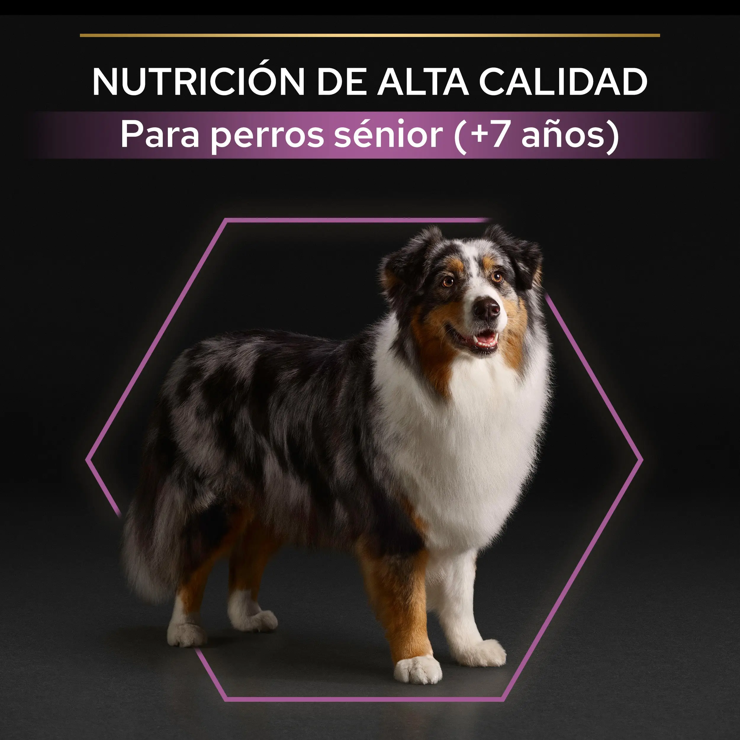 Imagen del producto 9