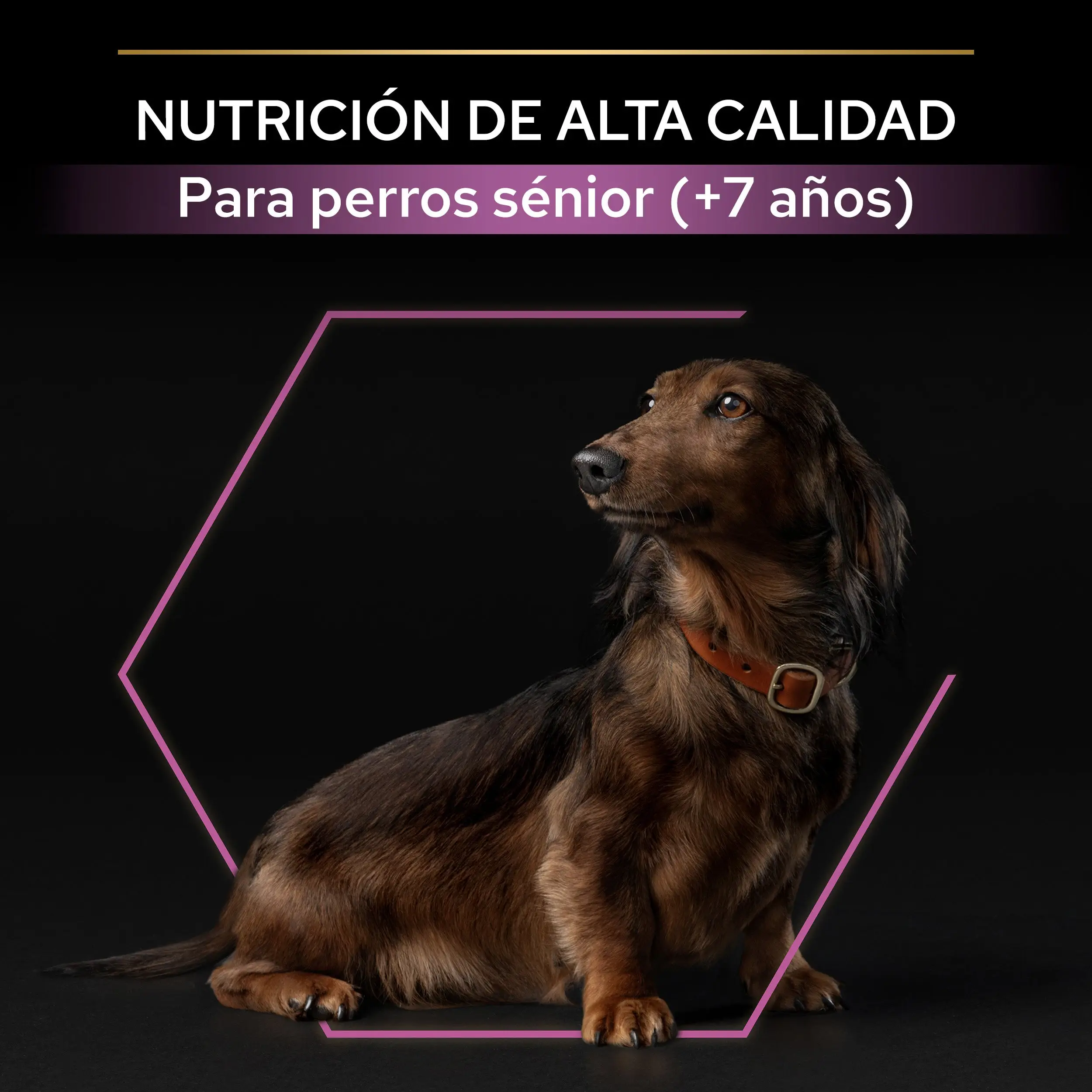 Imagen del producto 9