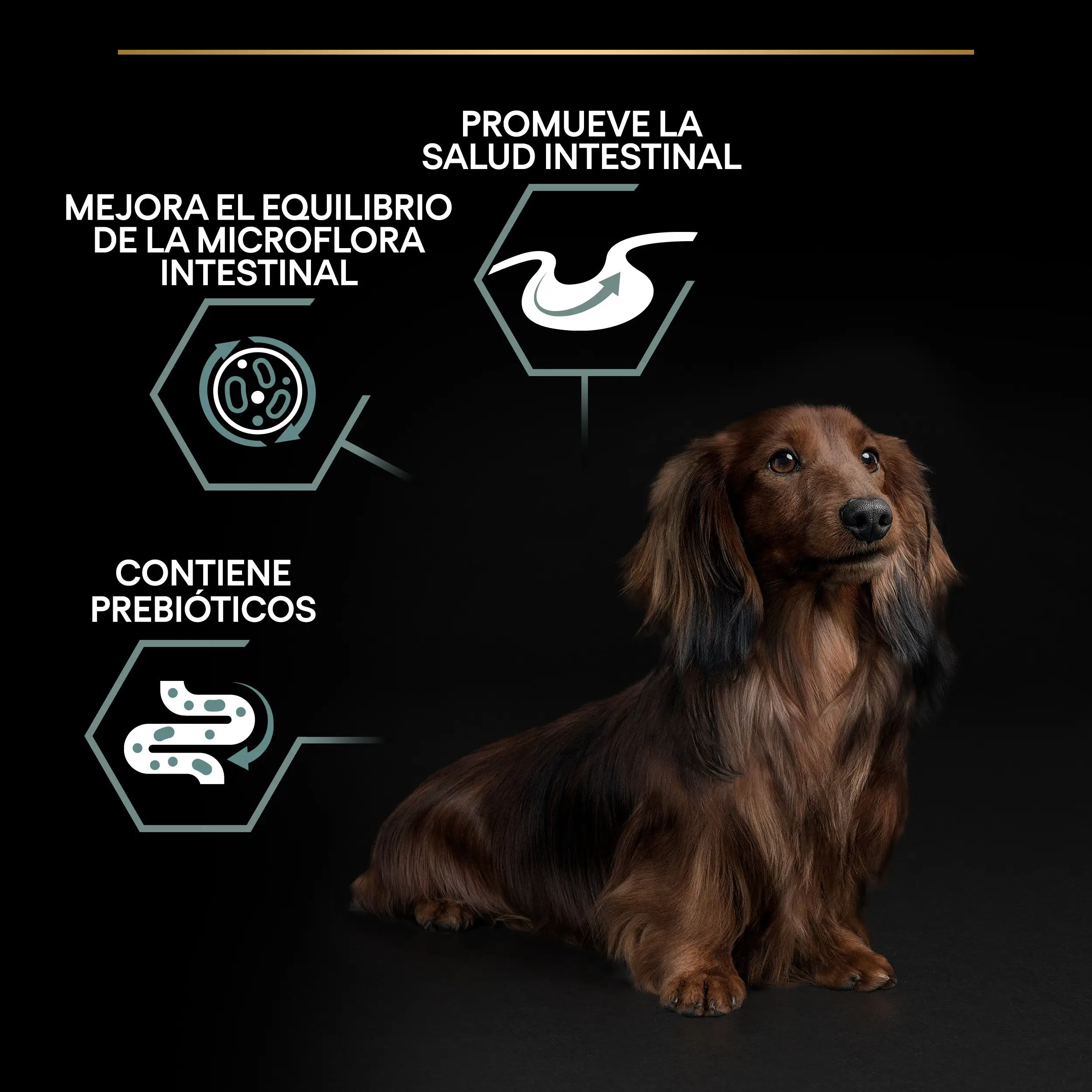 Imagen del producto 10