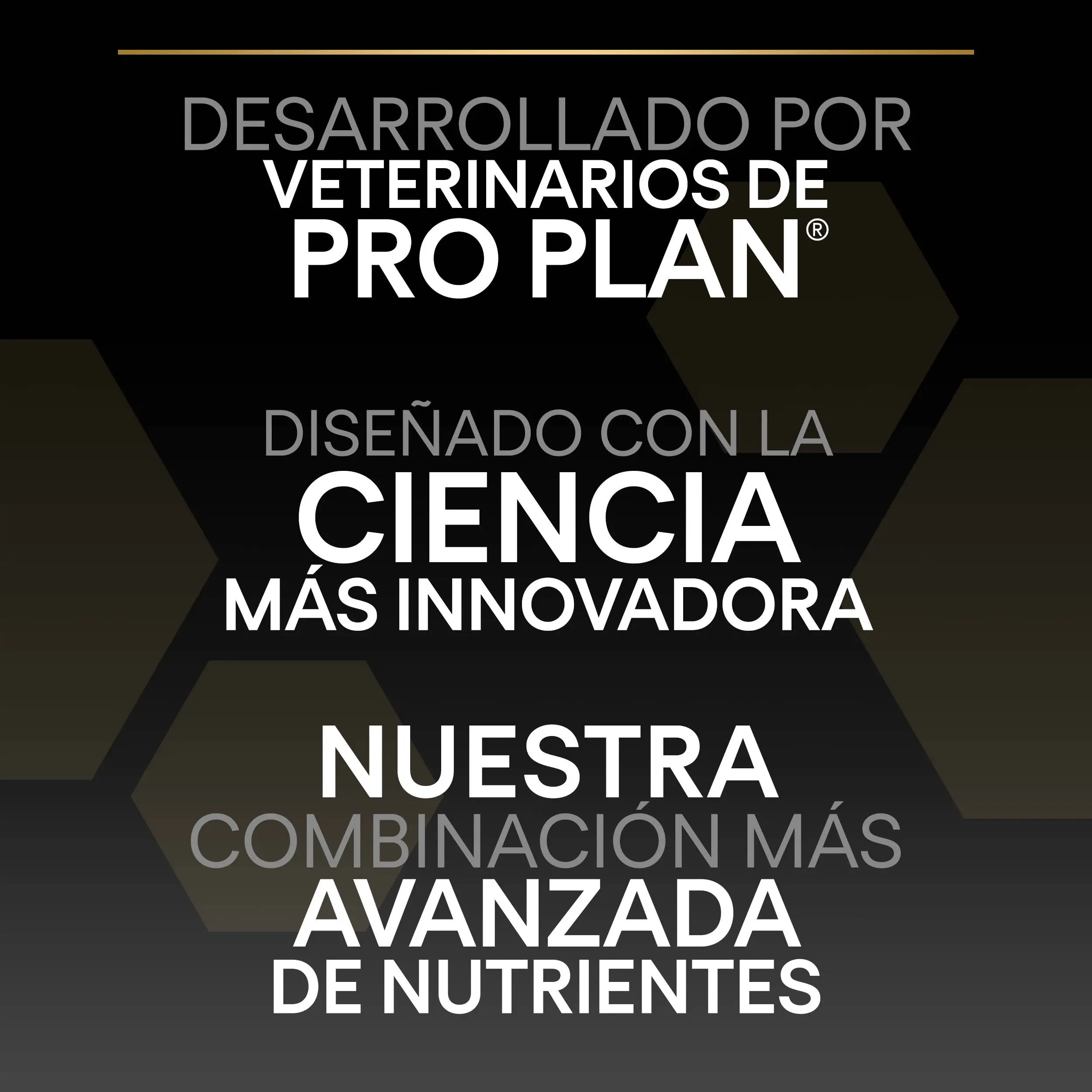 Imagen del producto 10