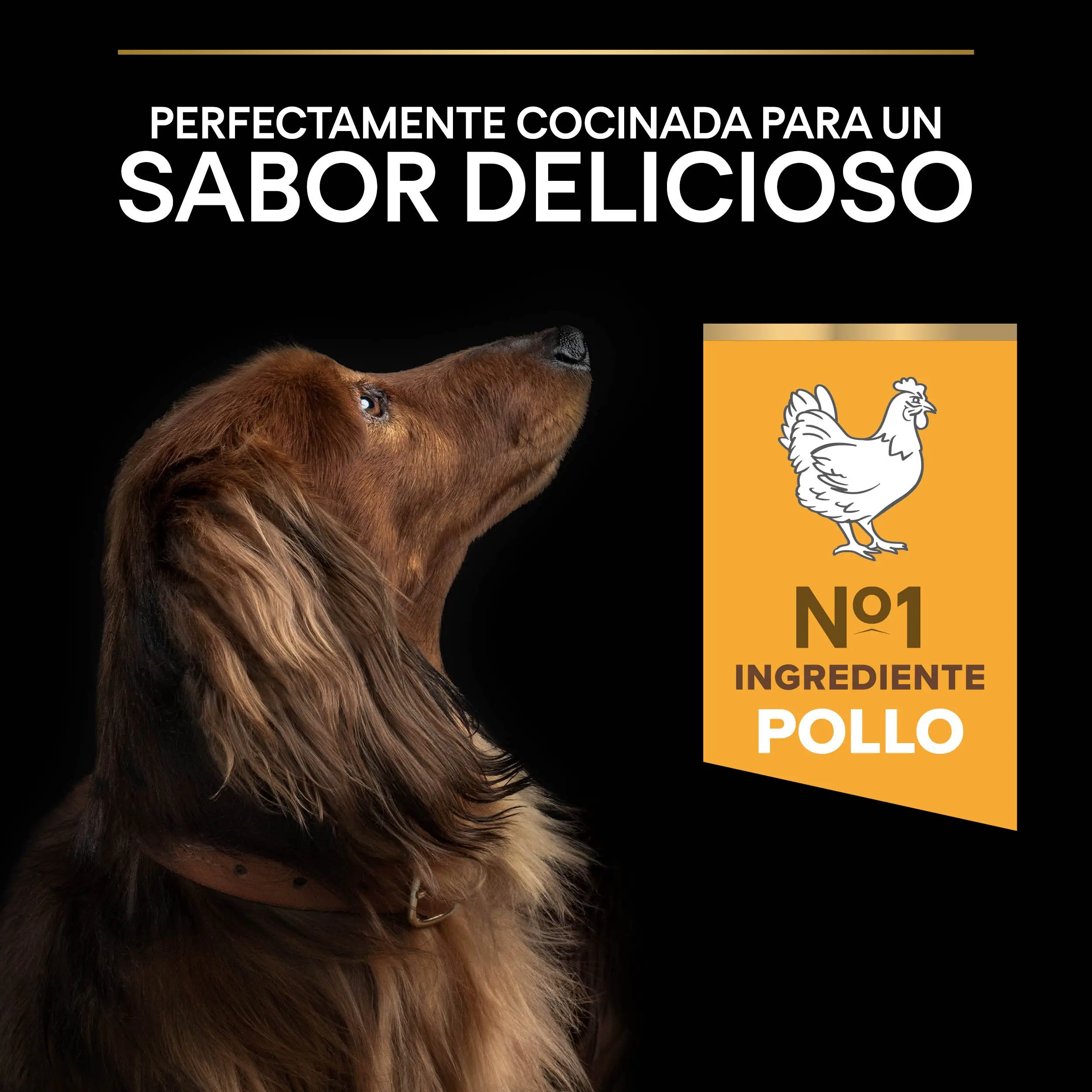 Imagen del producto 8