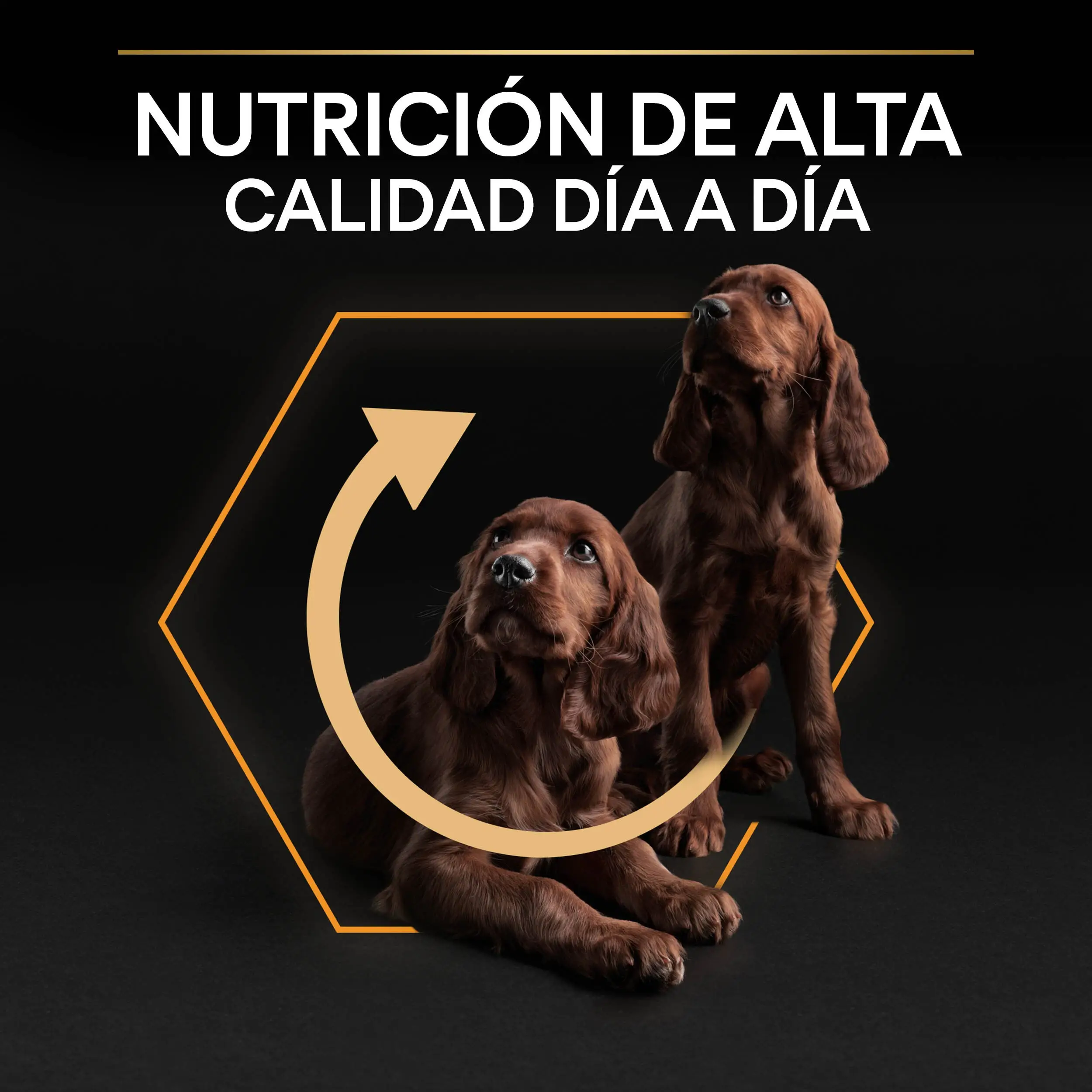 Imagen del producto 9