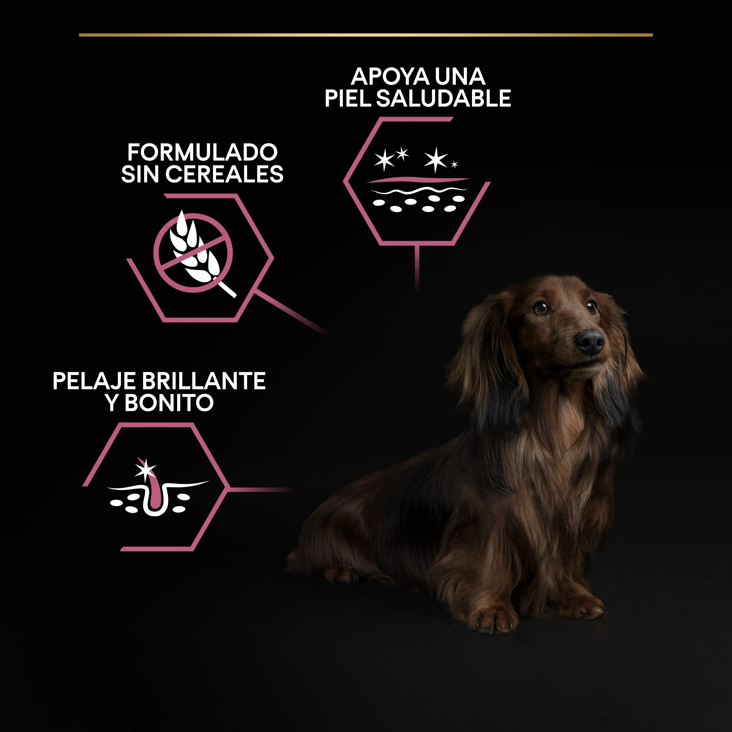 Imagen del producto 9