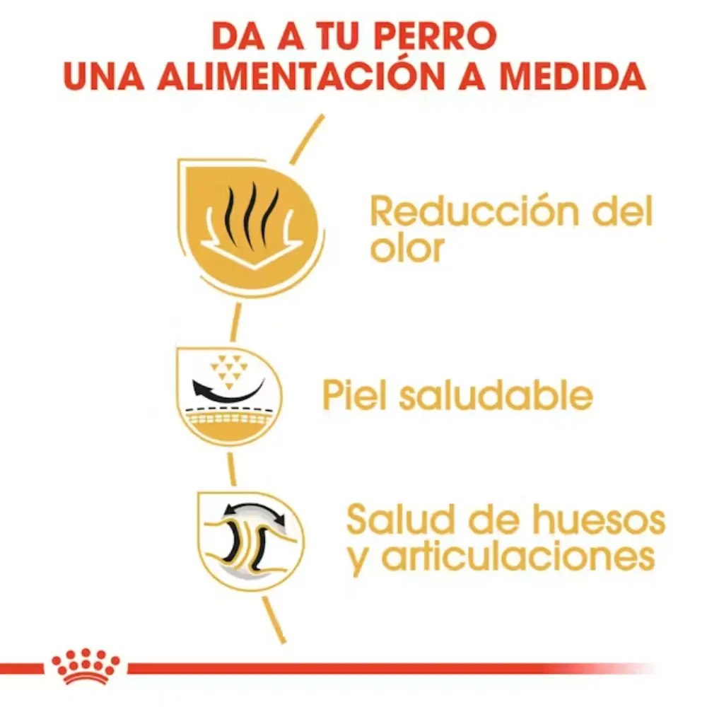 Imagen del producto 2
