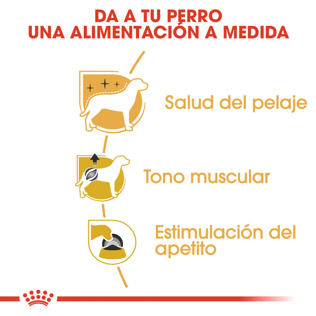 Imagen del producto 2