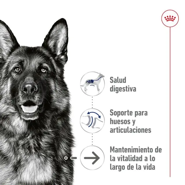 Imagen del producto 2