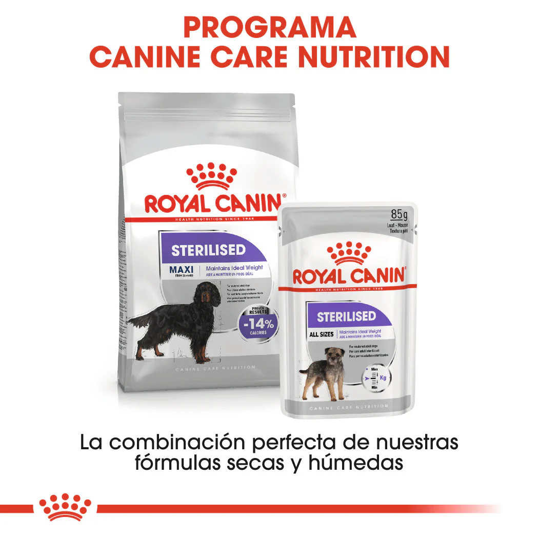Imagen del producto 6