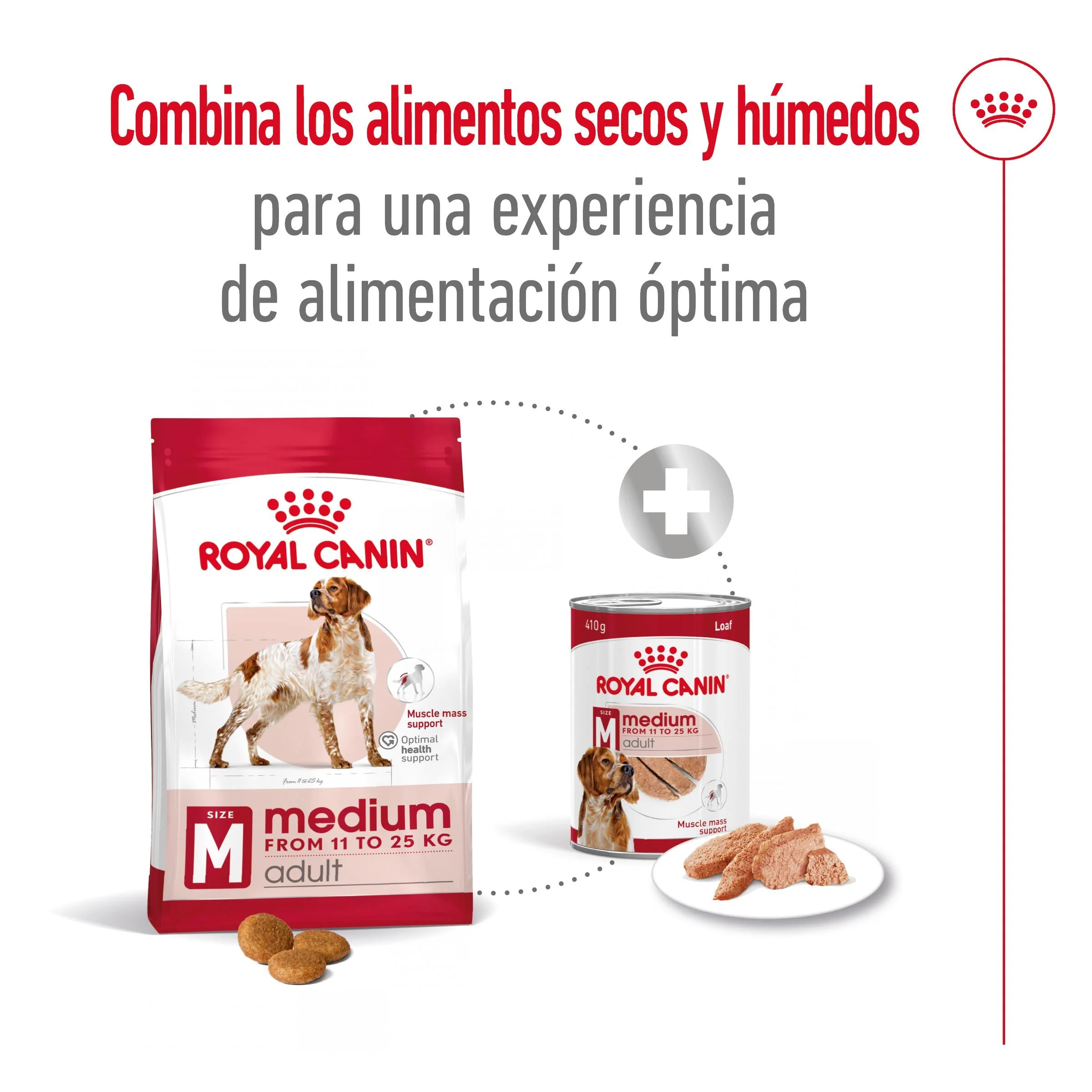 Imagen del producto 9