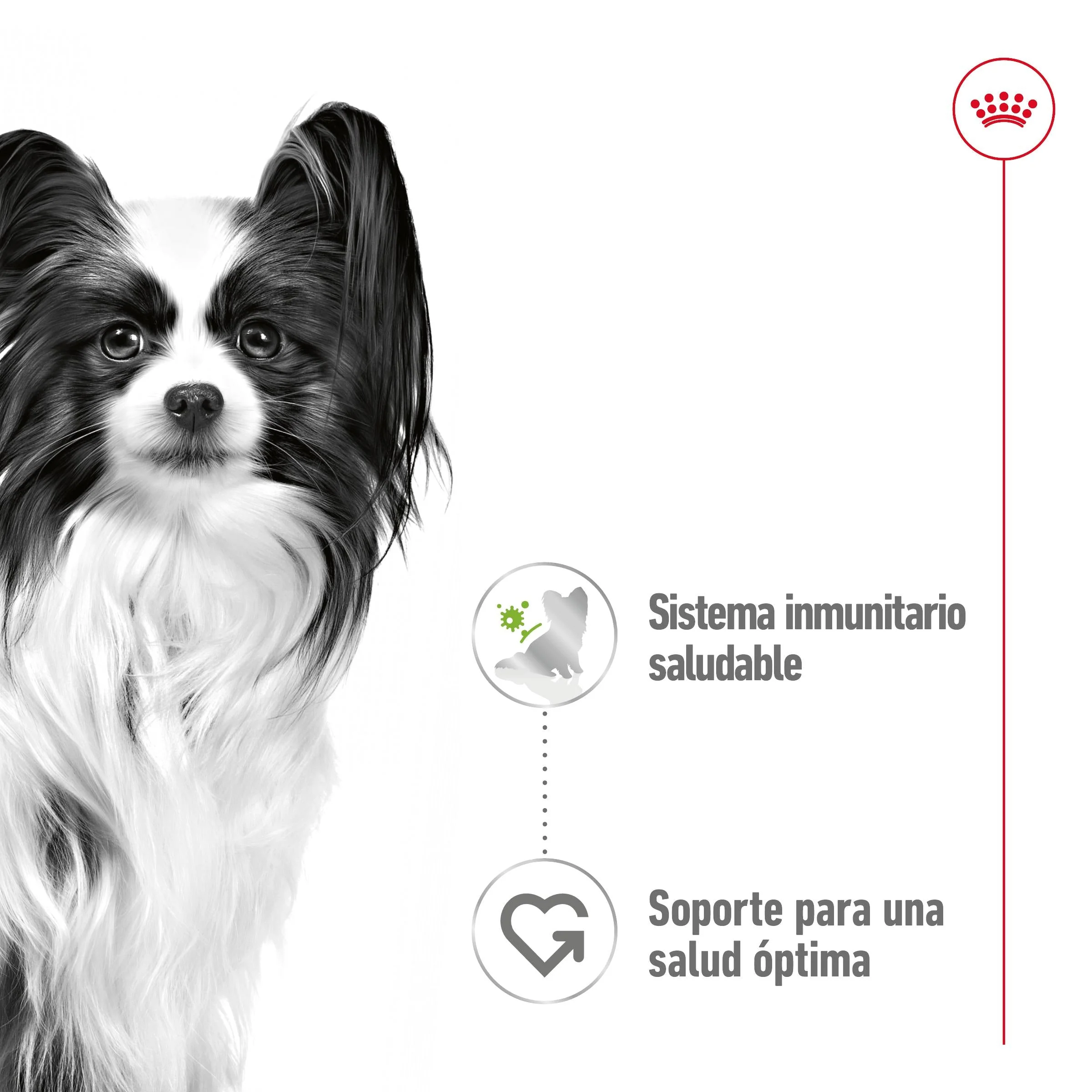 Imagen del producto 2